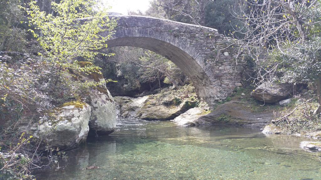 Hotel Restaurant Les Chasseurs Marine de Pietracorbara Εξωτερικό φωτογραφία